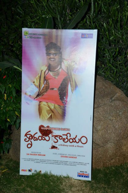 Hrudaya-Kaleyam-Audio-Launch